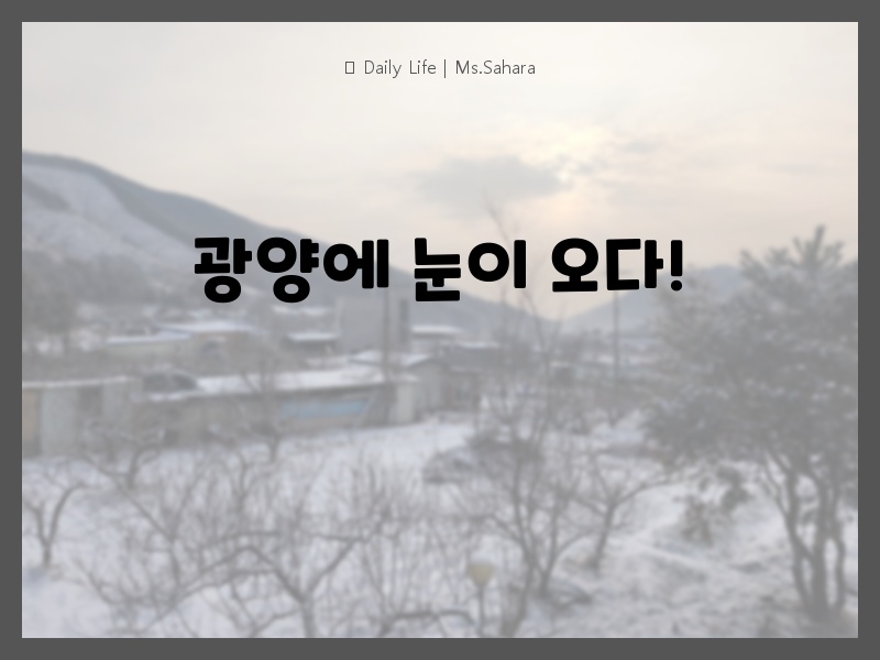 광양에 눈이 오는 풍경