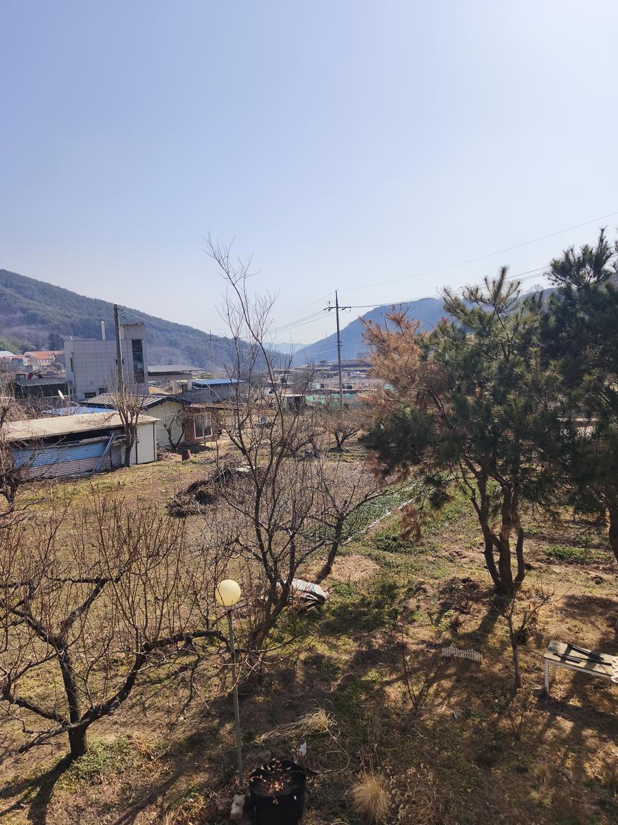 광대나물 효능: 일상 이미지 (Daily Routine Image)