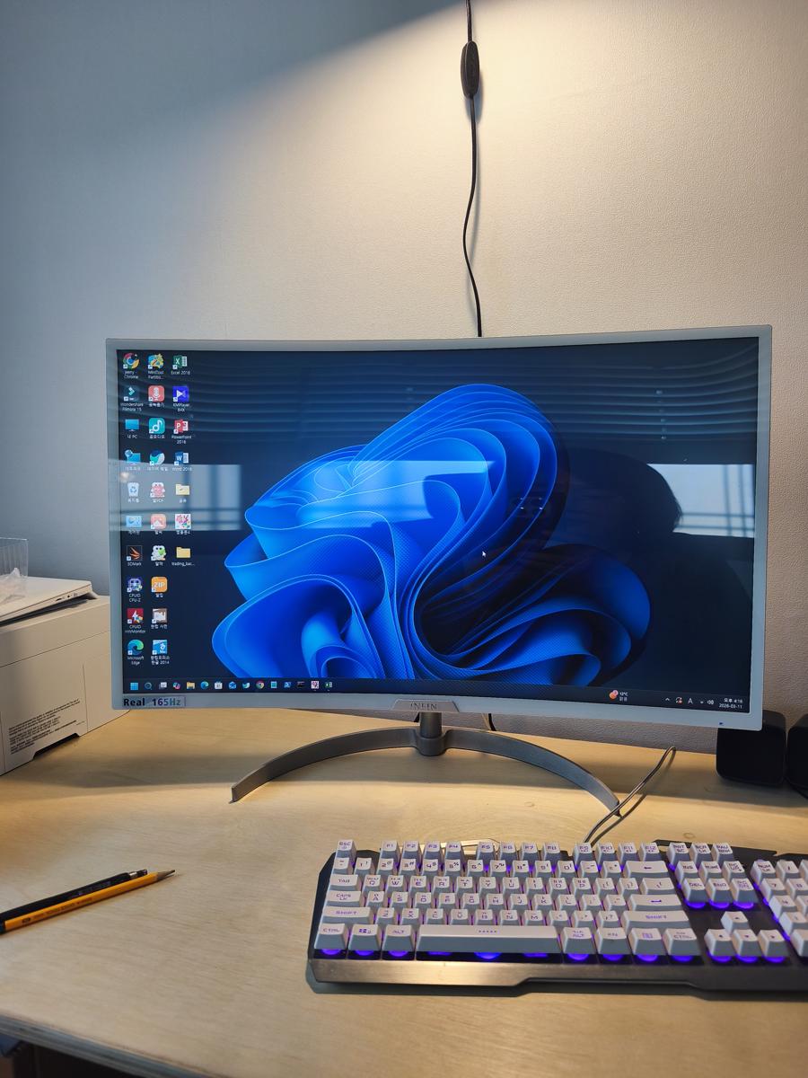 한국 남부지방 겨울 식물: 남편의 선물로 가족 모두가 갖게 된 32인치 대형 모니터 (A 32-inch monitor gifted by my husband)