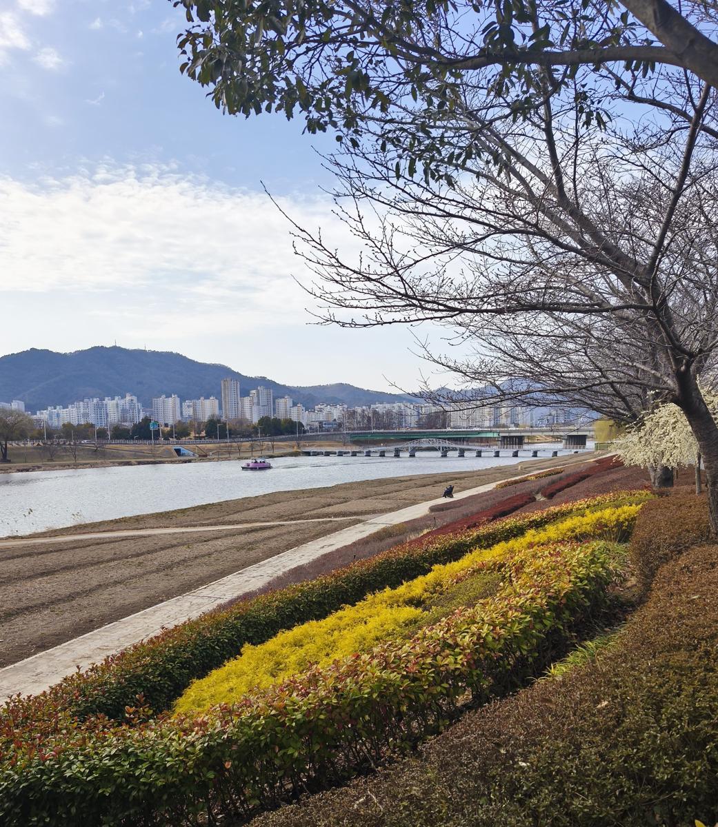 순천만국가정원 봄꽃: 다리 위에서 바라본 고즈넉한 정원 주변 풍경 (Peaceful garden landscape viewed from the bridge)