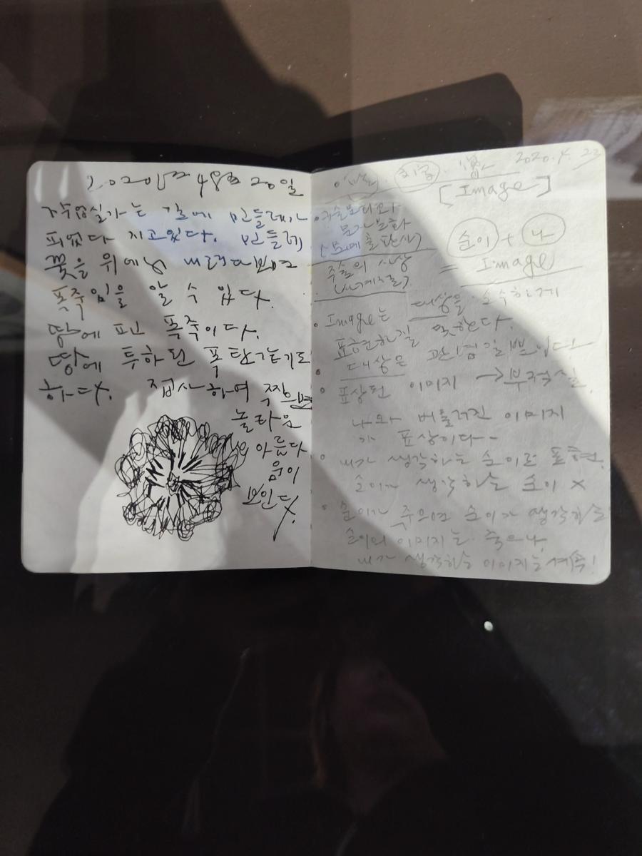 광양 전남도립미술관 전시: 민들레를 땅에 피는 폭죽으로 묘사한 낭만적인 시선 (Romantic perspective describing a dandelion as a firework blooming on the ground)