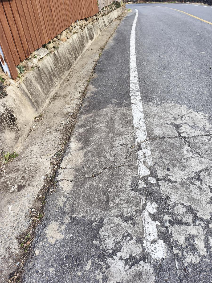 순천만정원 튤립: 잡초를 싹 뽑아내고 깔끔하게 정리된 울타리 앞 청소 후 (After) (After cleaning, neatly organizing the fence area by pulling out weeds)