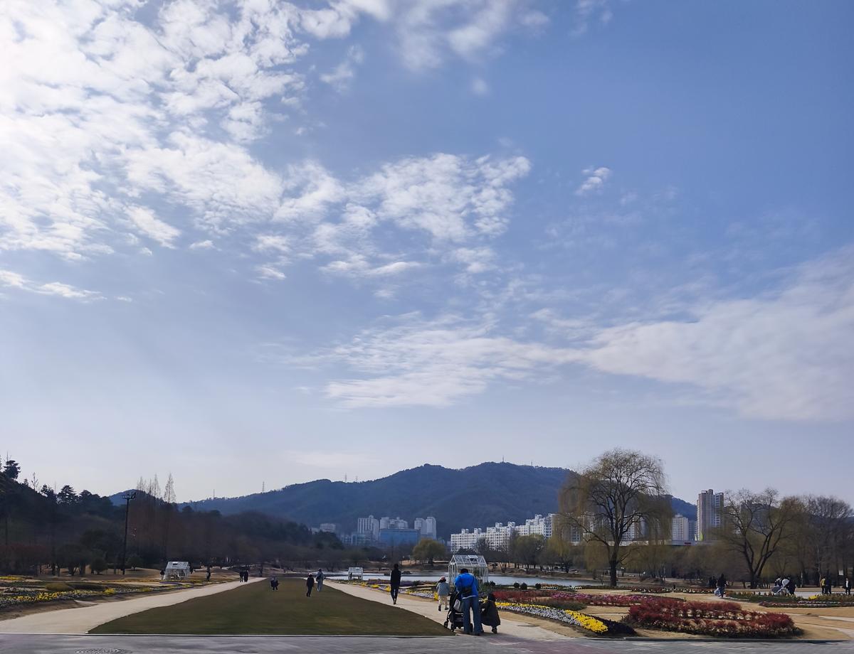 순천만국가정원 봄꽃: 산책하기 좋은 순천만국가정원의 탁 트인 전경 (Panoramic view of the garden, perfect for a walk)