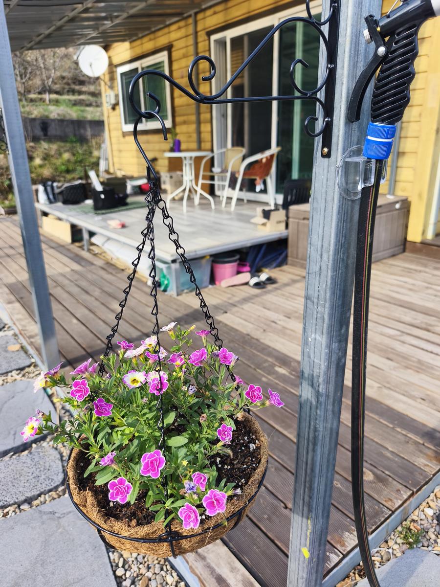순천만정원 튤립: 매일 물을 주며 정성스레 가꿔야 하는 다채로운 행잉 화분 1 (Various hanging planters that need careful daily watering 1)