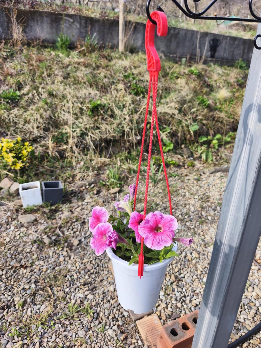 순천만정원 튤립: 매일 물을 주며 정성스레 가꿔야 하는 다채로운 행잉 화분 4 (Various hanging planters that need careful daily watering 4)