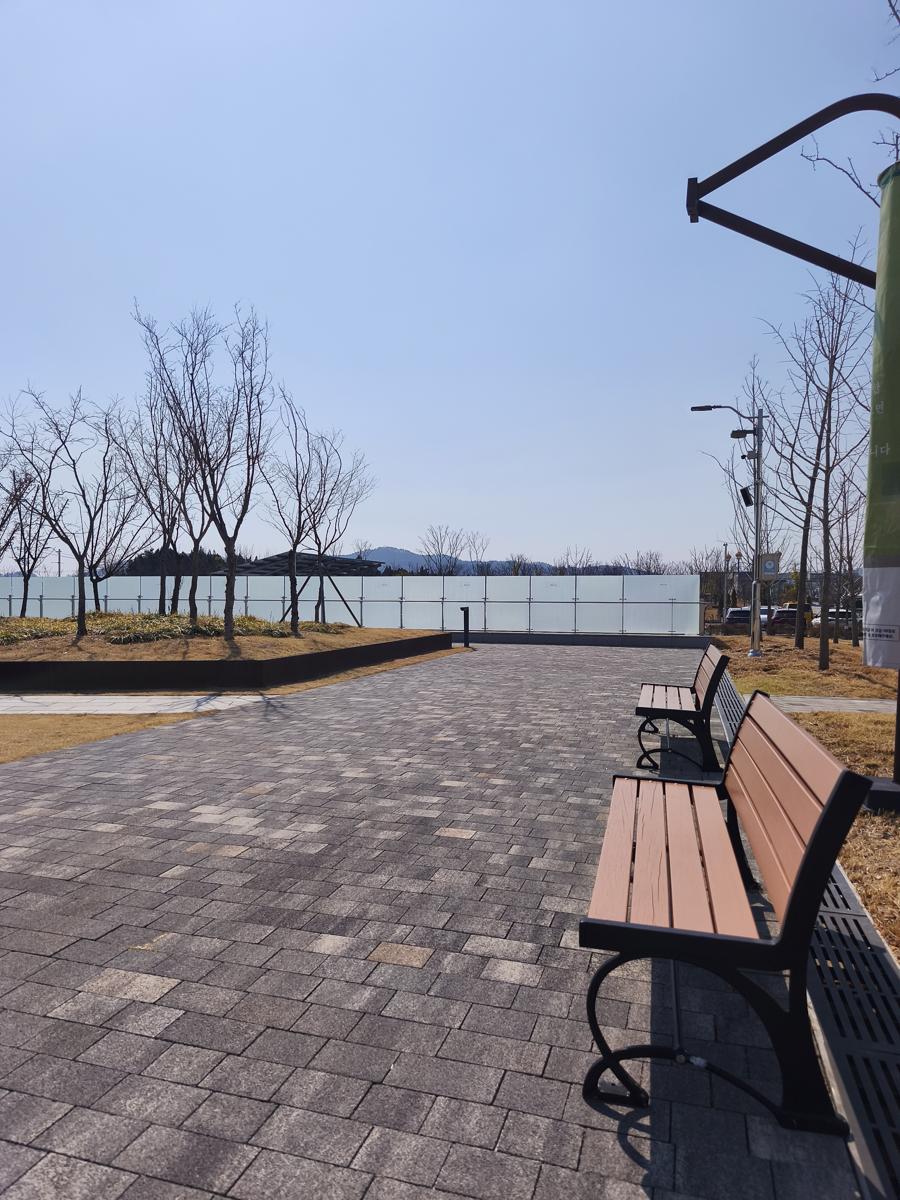 광양 전남도립미술관 전시: 미술관 앞마당에 넓게 펼쳐진 푸른 잔디밭 풍경 (View of the wide green lawn in the front yard of the museum)