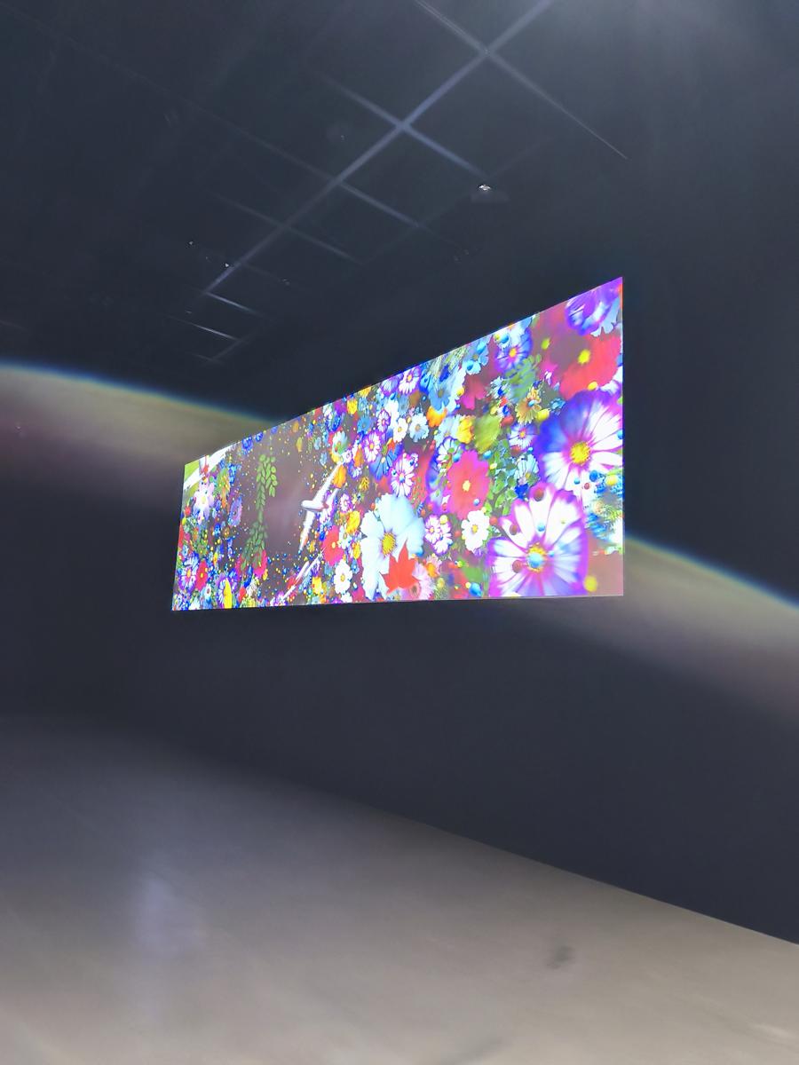 광양 전남도립미술관 전시: 꽃과 비행기가 교차하는 화려한 색감의 디지털 미디어 아트 (Colorful digital media art with intersecting flowers and airplanes)