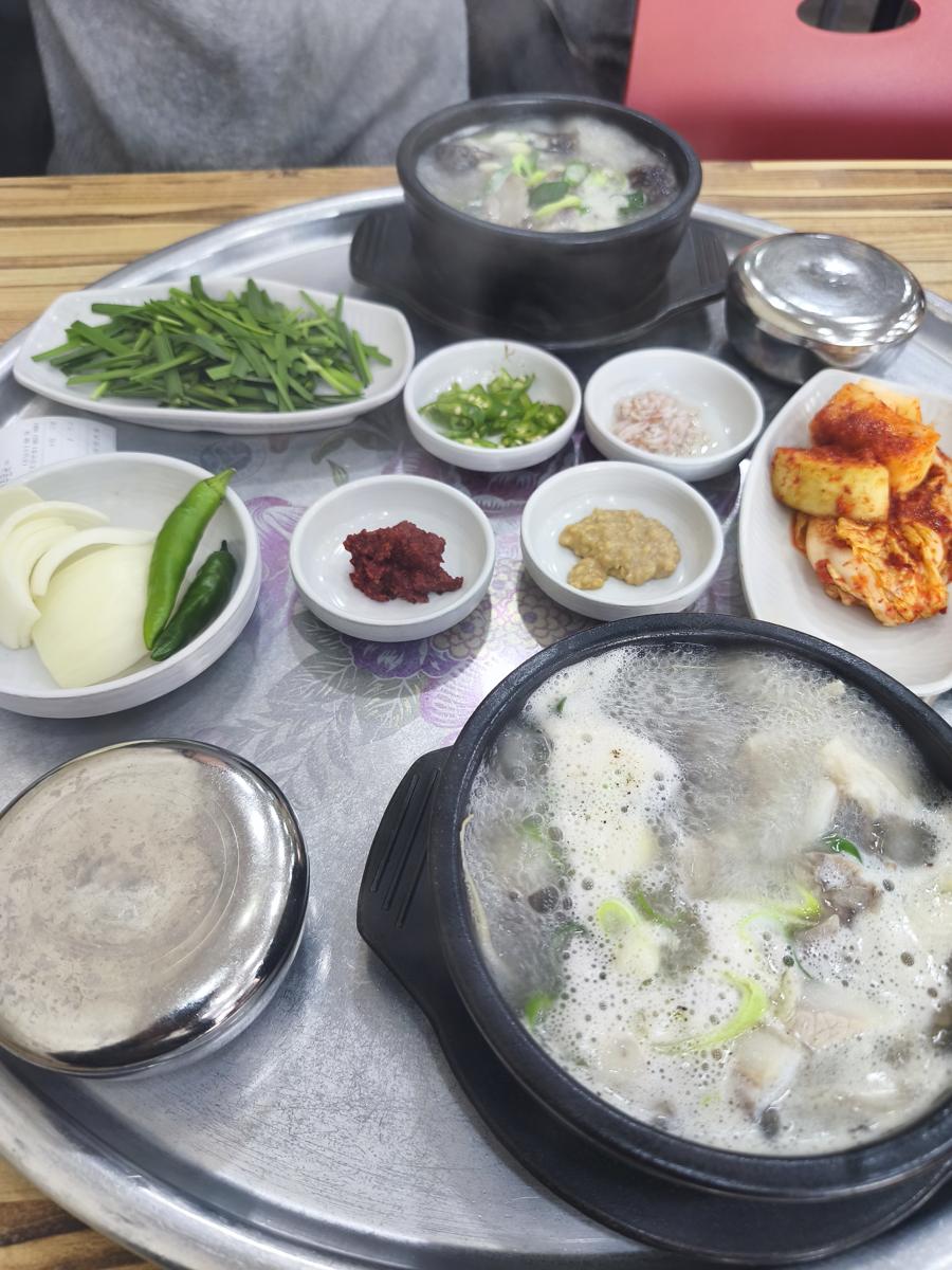 순천만국가정원 봄꽃: 기력 회복에 최고인 중마동 왕창국밥의 모듬국밥 (Hearty assorted Gukbap for energy recovery at Wangchang Gukbap)