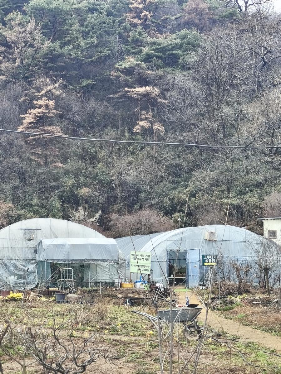 광양 성황스포츠센터 탁구장: 두 동의 비닐하우스로 이루어진 식물원 전경 (View of the botanical garden consisting of two greenhouses)