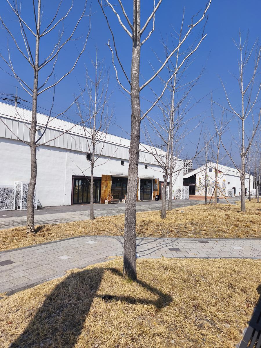 광양 전남도립미술관 전시: 아이들이 책을 읽고 그림을 그릴 수 있는 쾌적한 카페 공간 (Pleasant cafe space where kids can read and draw)