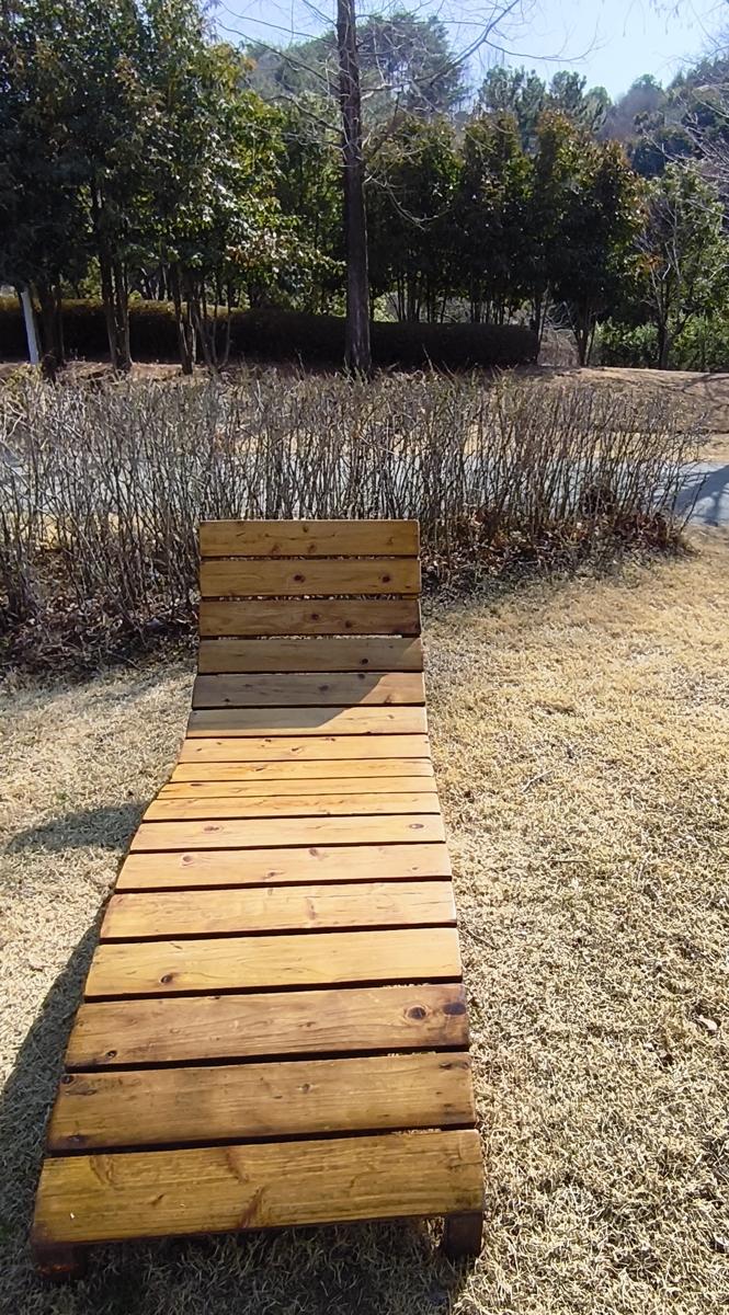순천만국가정원 봄꽃: 산책 중간중간 쉬어가며 물을 마실 수 있는 벤치 (Cozy benches to rest and hydrate during the walk)