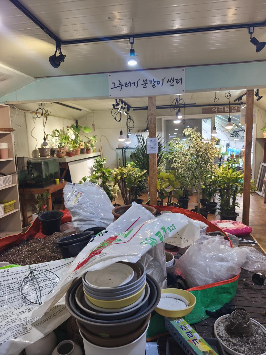 광양 성황스포츠센터 탁구장: 편리하게 이용 가능한 분갈이 서비스 공간 (Convenient repotting service area)