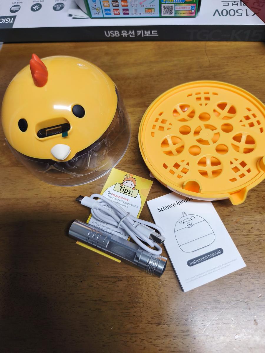 한국 남부지방 겨울 식물: 테무에서 저렴하게 구입한 5구짜리 병아리 부화기 (A 5-egg incubator bought cheaply from Temu)