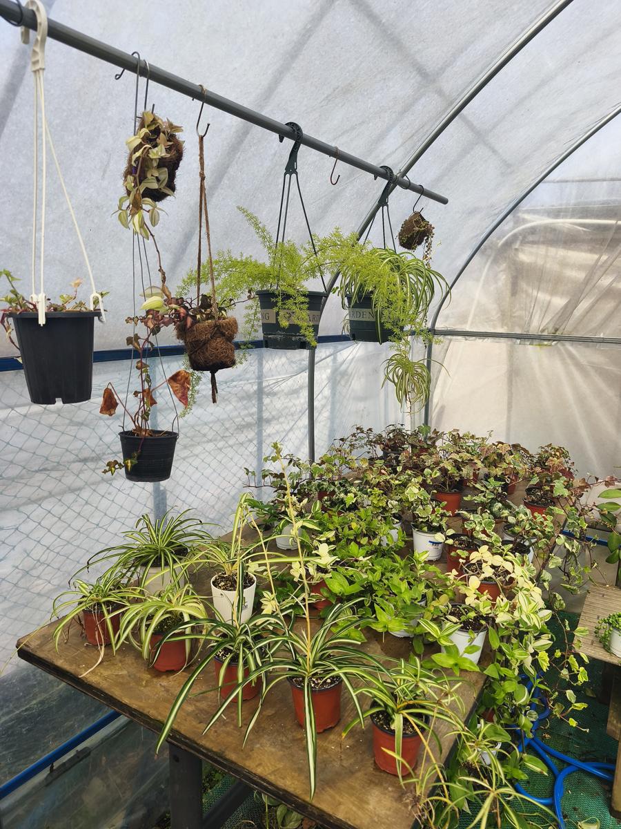 광양 성황스포츠센터 탁구장: 구경하는 재미가 쏠쏠한 매장 내부 풍경 (Interior of the store, fun to browse around)