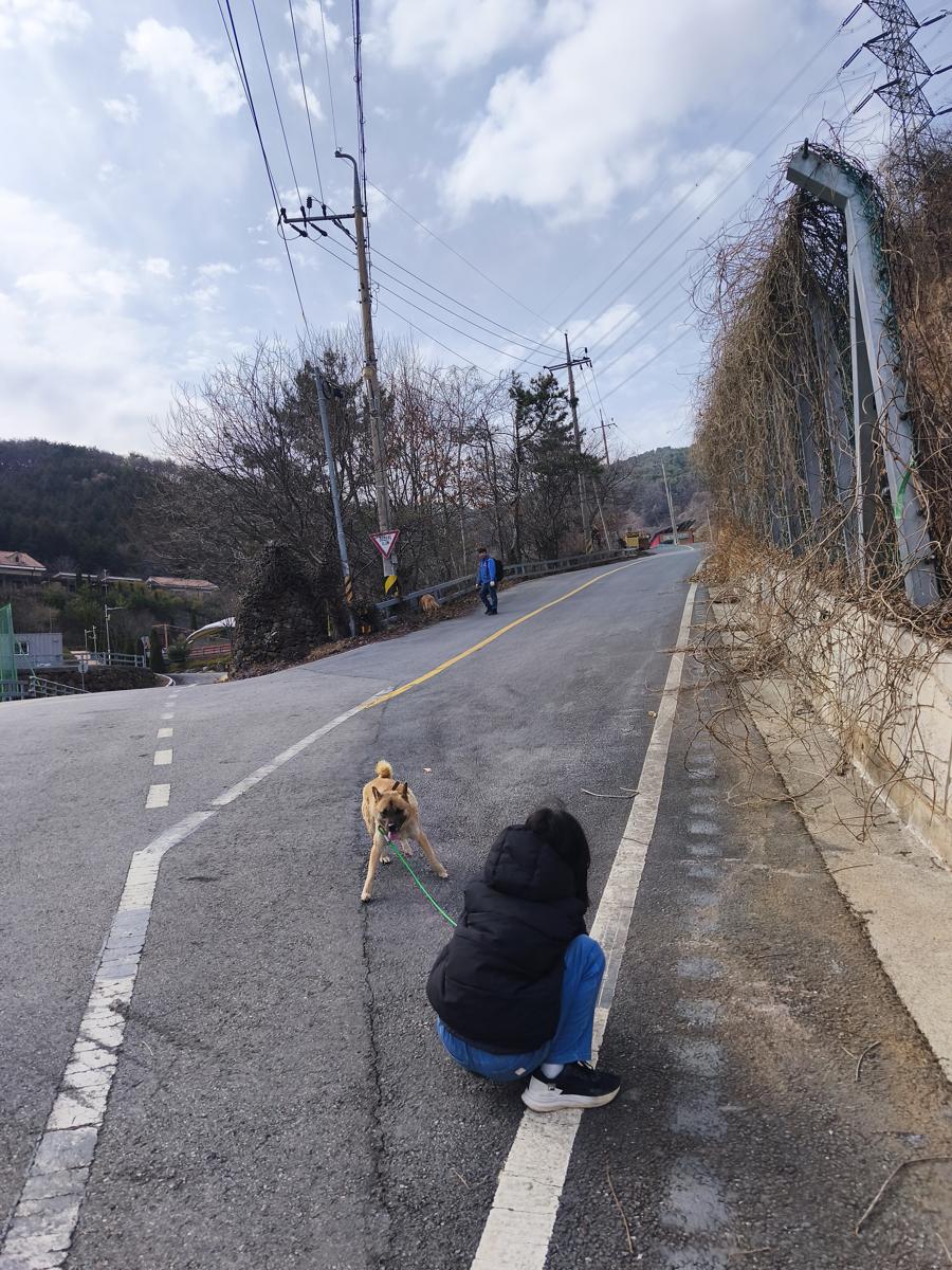 옥곡 국사봉랜드 산책 그리고 간식리뷰: 산책로로 향하는 오른쪽 갈림길 (Taking the right path to the walking trail)