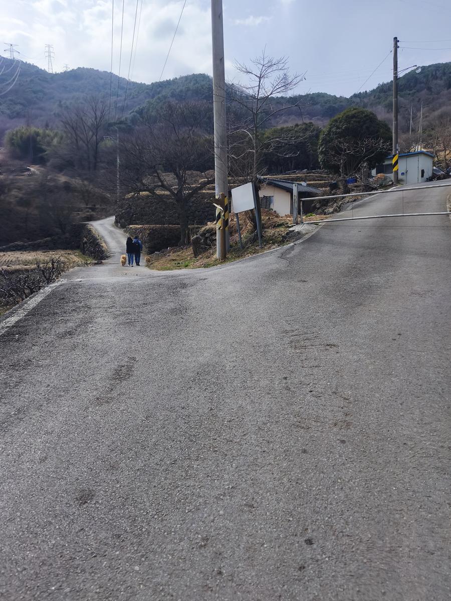 옥곡 국사봉랜드 산책 그리고 간식리뷰: 산길 진입 전 왼쪽으로 가는 꿀팁 (Tip: Keep left before the mountain path)