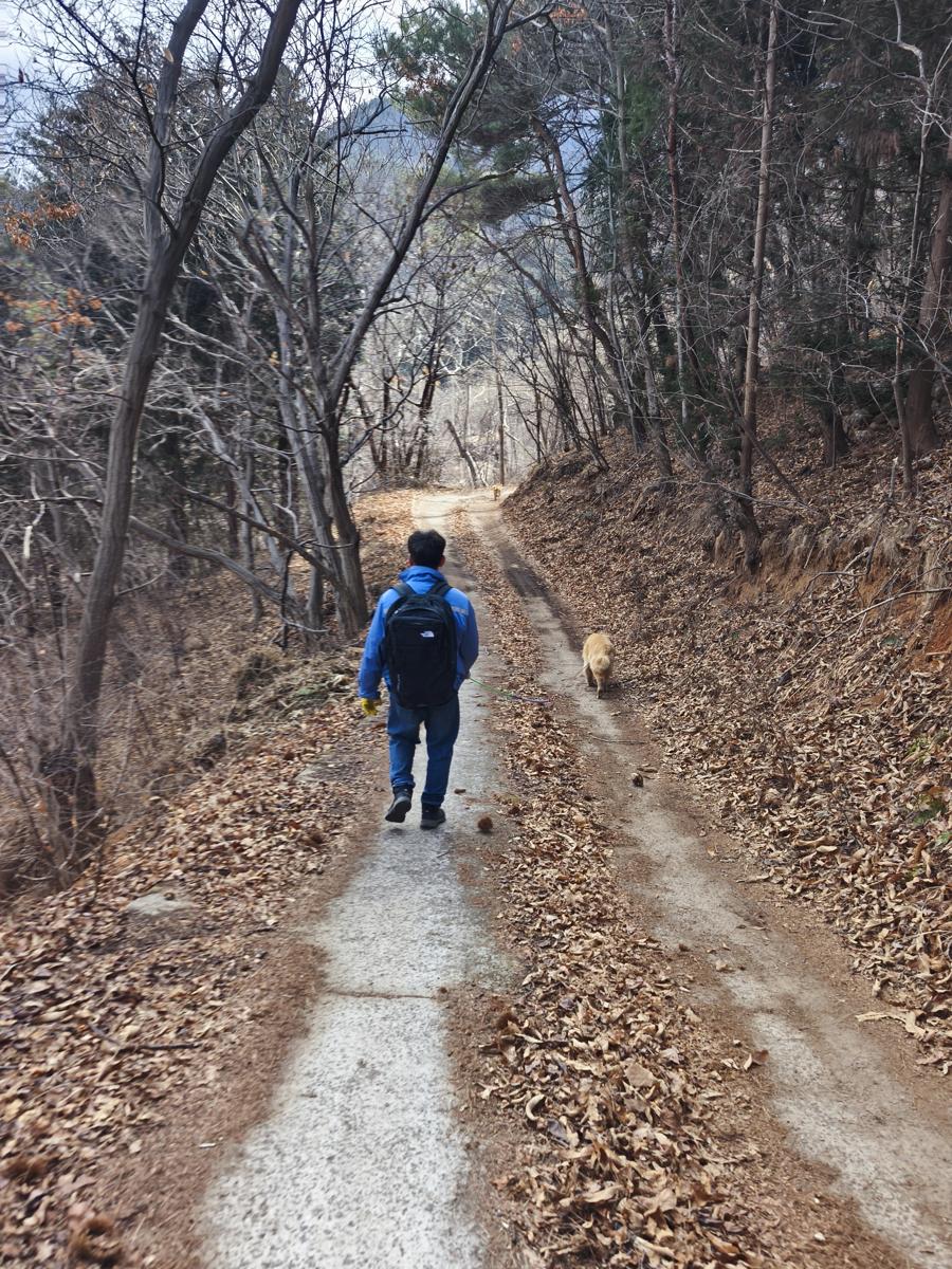 옥곡 국사봉랜드 산책 그리고 간식리뷰: 관리가 잘 된 편안한 오르막 산길 (Well-maintained mountain trail)