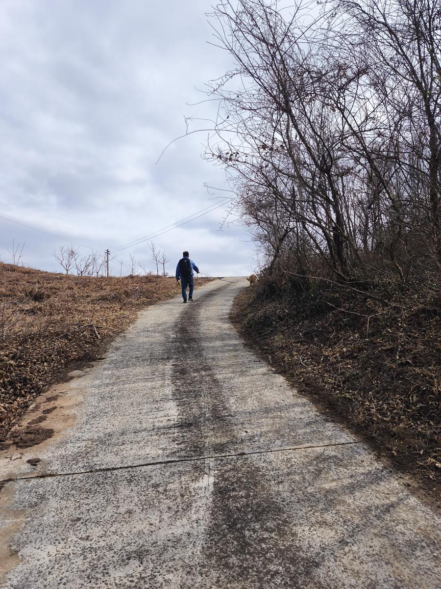 옥곡 국사봉랜드 산책 그리고 간식리뷰: 산 중턱의 한적하고 평화로운 마을 (Quiet and peaceful village mid-mountain)