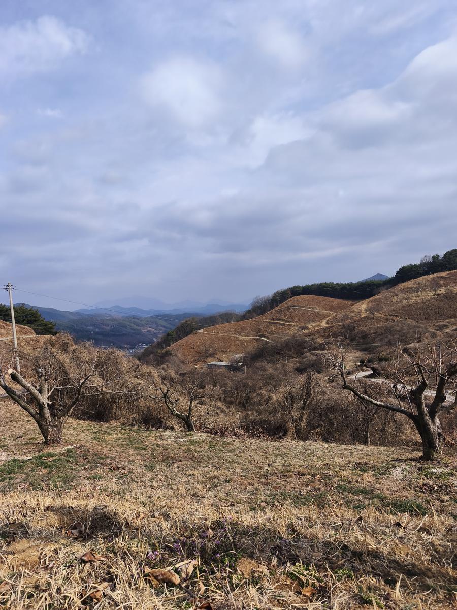 옥곡 국사봉랜드 산책 그리고 간식리뷰: 산에서 먹는 꿀맛 같은 컵라면 타임 (Enjoying delicious cup noodles on the mountain)