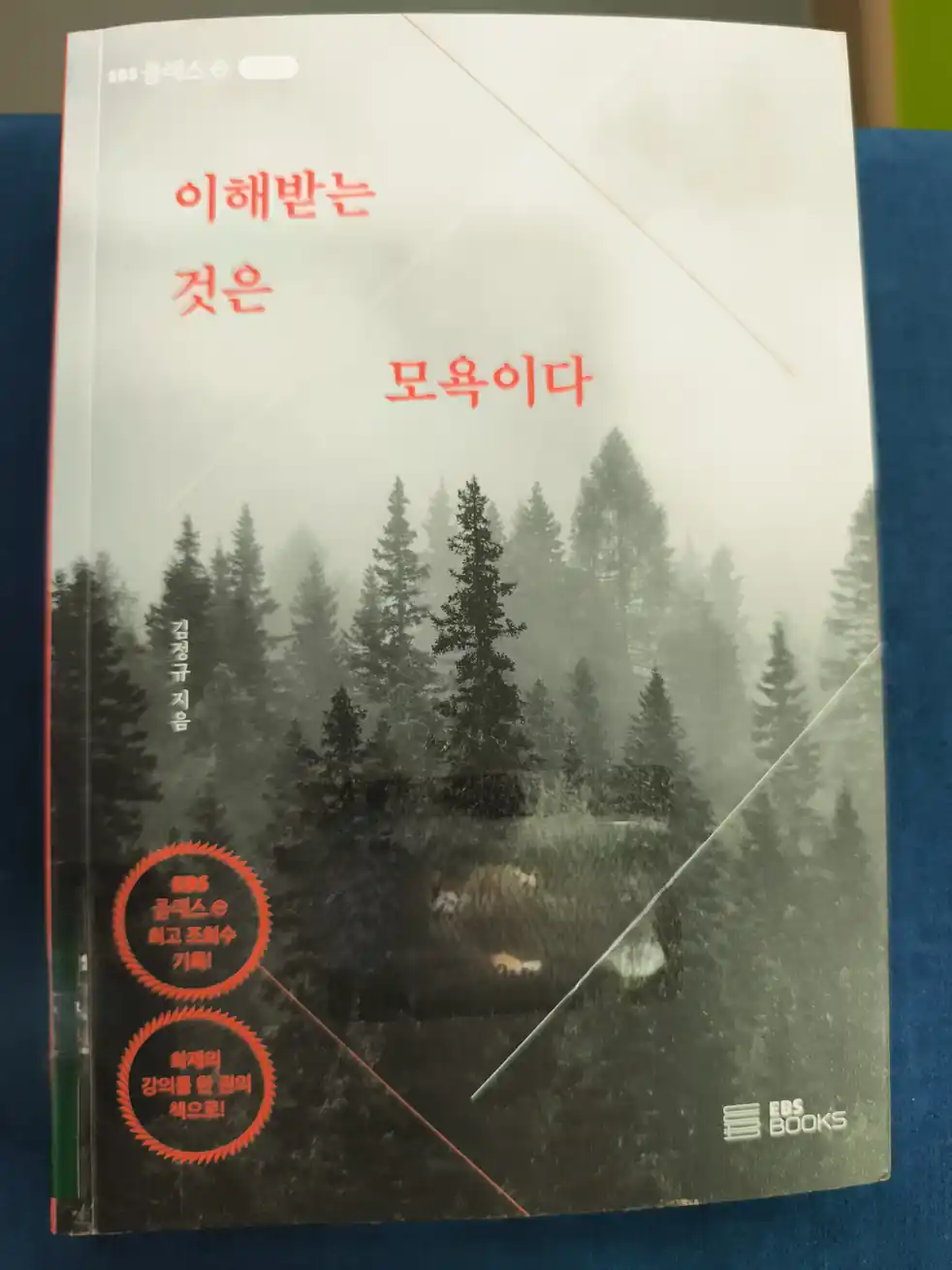 이해받는 것은 모욕이다: 김정규 작가의 《이해받는 것은 모욕이다》 도서 표지 (Book cover of Is Being Understood an Insult by Kim Jung-gyu)